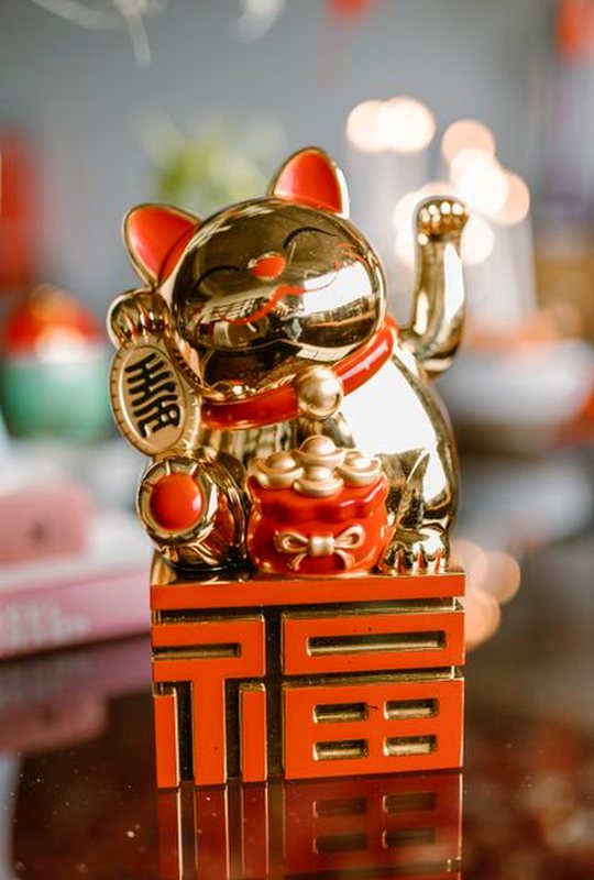phỏm 8Day